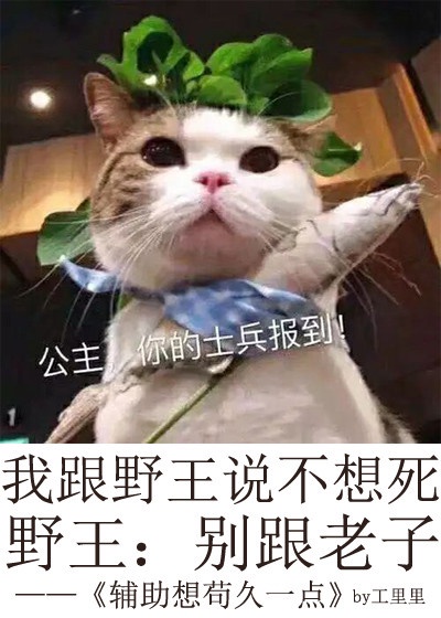 德萨罗人鱼完整下载