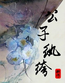 佐佐木明希与黑人aⅴ系列