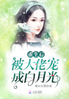 清穿之美人绝代