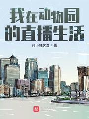 雷电将军向你发起x爱决斗