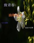 蜜柚高清观看