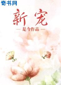 小茹和黄狗在仓库