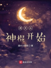 满天星电视剧24集完整版免费