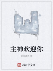 雷电将军的俘虏生活