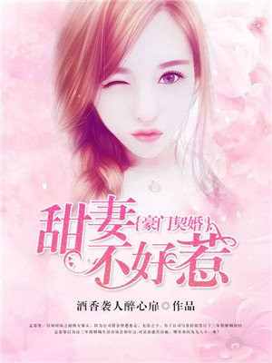 婆婆来了电视剧全集完整版