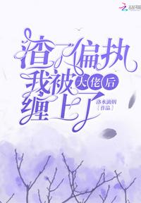 江湖侠女泪梅开四度