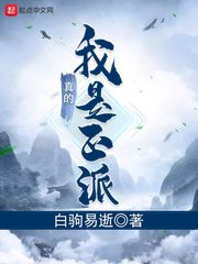 仔仔网手机版