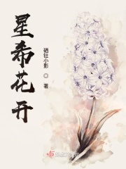 小芳小说全文阅读