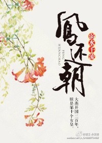 剑宗杨叶全文免费阅读