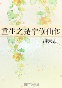 导演请指教 综艺