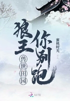 寒战2雪儿