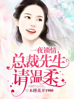 我们结婚吧小说