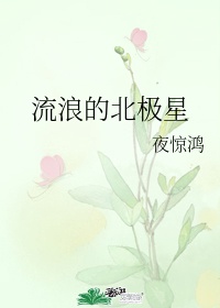 江南 龙族