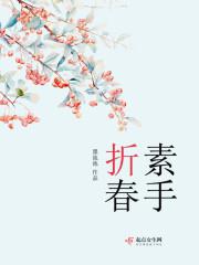 傻儿师长第一部