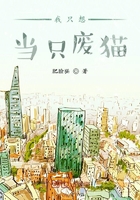 538prom任我爽