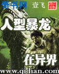 红楼梦外传肉全文阅读