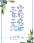 《极致沉迷》作者:臣年