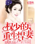 婚词离曲