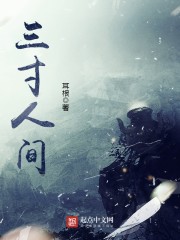 冒险王无敌版