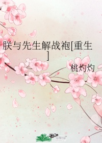 豪欲望家族小说全集