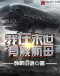 空姐王静全文