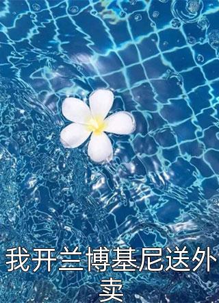 当幸福来敲门小说