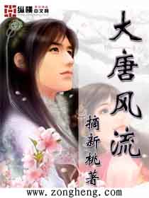 丰满岳乱妇dvd