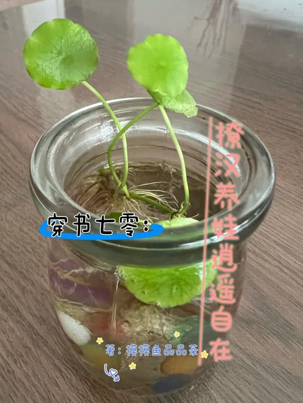 草莓丝瓜向日葵黄瓜榴莲污绿巨人18