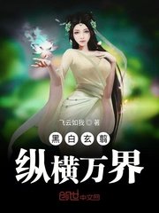 疯狂女婿