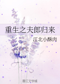 神雕后宫群芳录