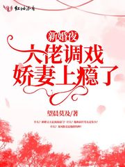 盛夏来吃小说完整版