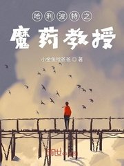 静皇贵妃传