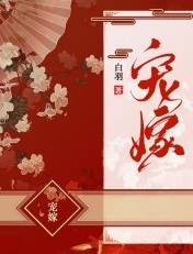 新八一中文网手机版