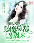 特化师电视剧免费观看