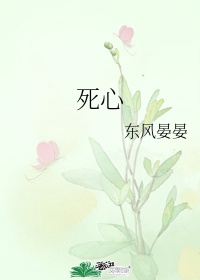 乡村无敌小兽医小说