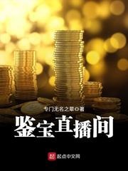 白宝山电视连续剧26集免费观看