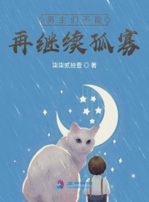 办公室风雨小说阅读