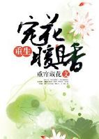 张瑞许婉仪怀孕45章