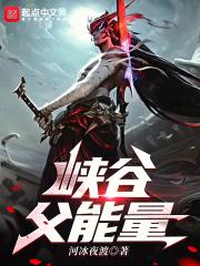 落霞小说魔道祖师