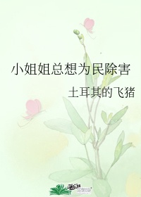 女王app官网