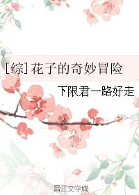 征服人妇系列小说目录