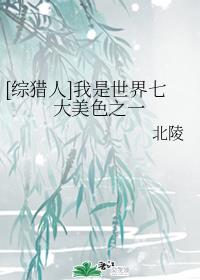 《宠妾》作者:大包子