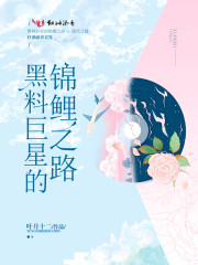 与君歌小说