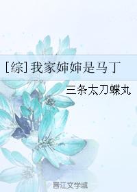 波结多衣家庭教师1