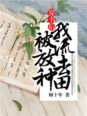 老师合集全文阅读