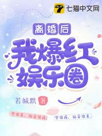 以婚为名 (军魂 高干 婚恋)