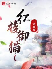 女老师8