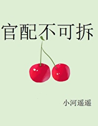 小芳合集小说全文