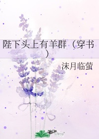 538prom 任我爽