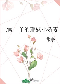 叶昊郑漫儿向东流 小说